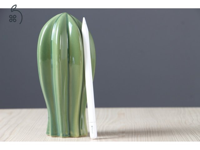 Apple Pencil USB-C - US-007679