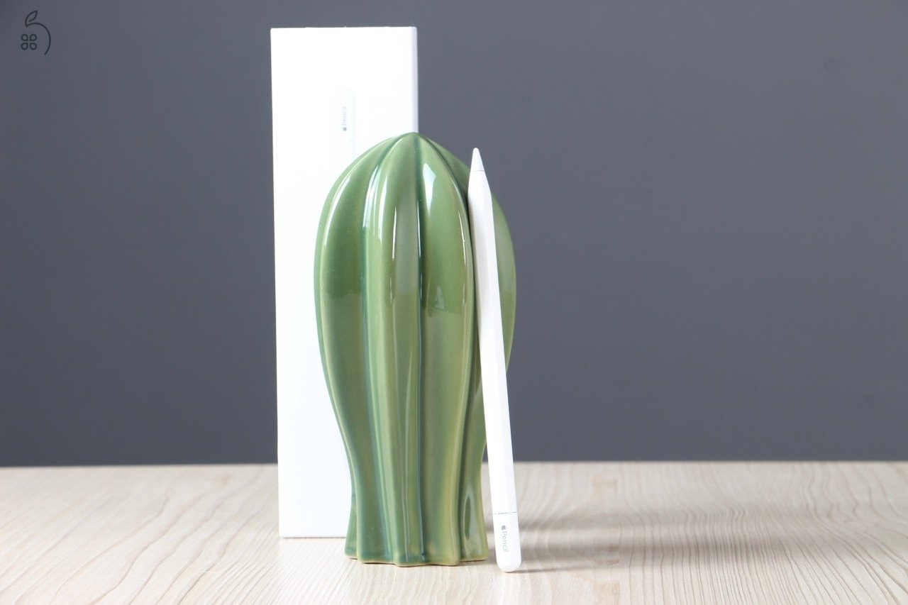 Apple Pencil USB-C - US-007679