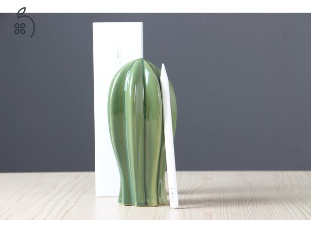 Apple Pencil USB-C - US-007679