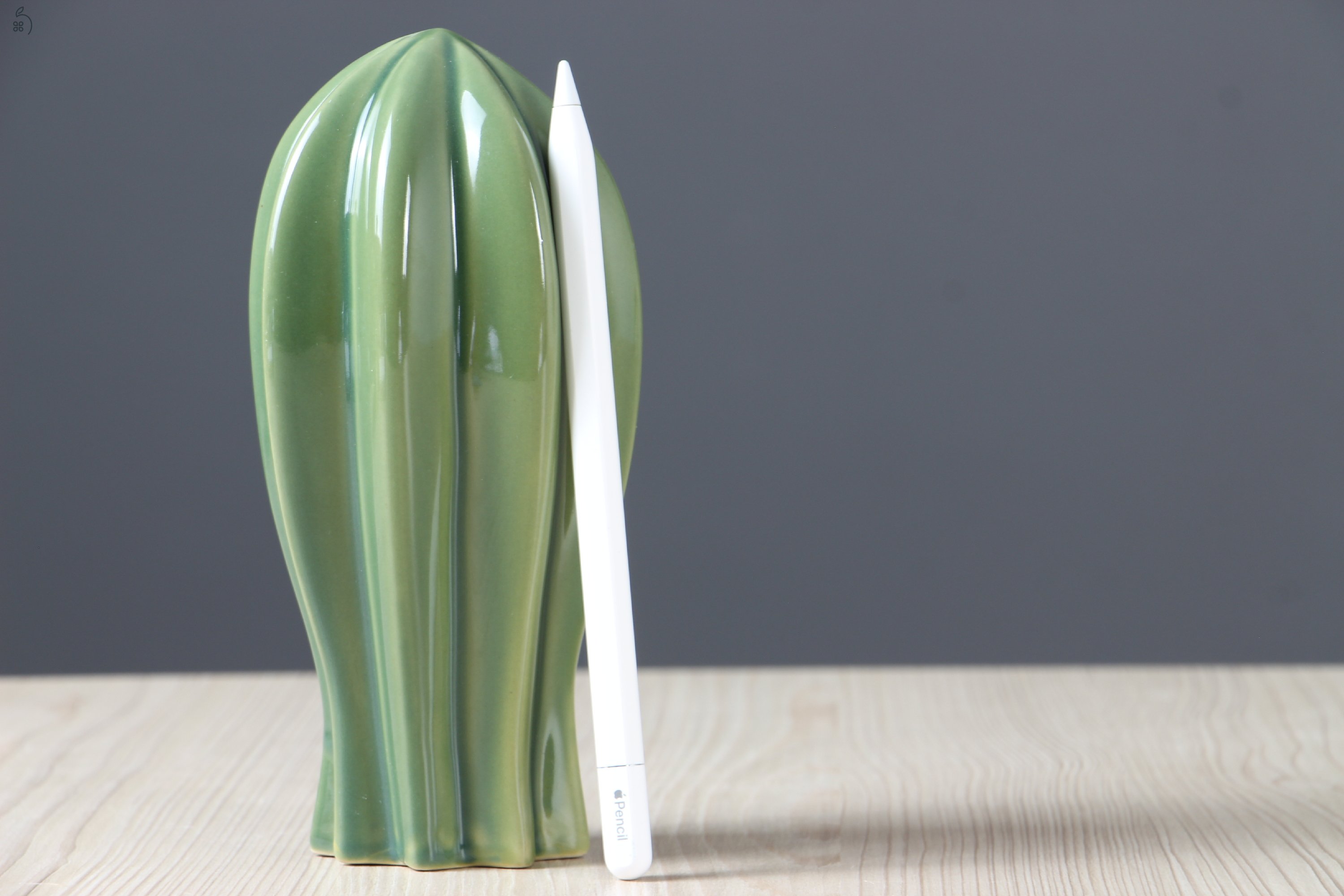 Apple Pencil USB-C - US-007679