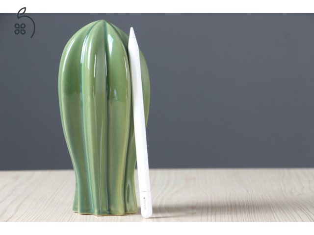 Apple Pencil USB-C - US-007679