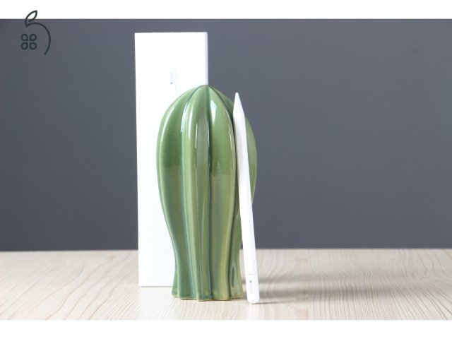 Apple Pencil USB-C - US-007679