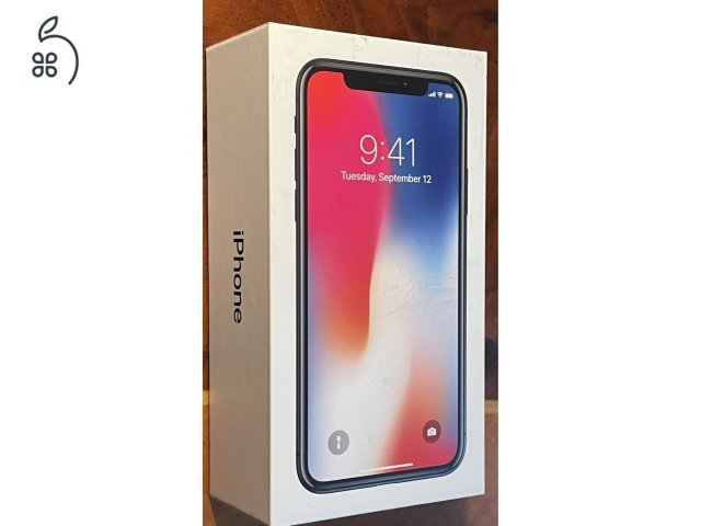 iPhone X 256GB