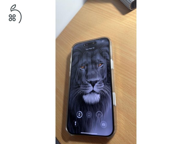 iPhone 16 Pro Max 512GB 100% akku