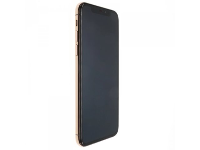 Apple iPhone XS 64 GB Gold 100%