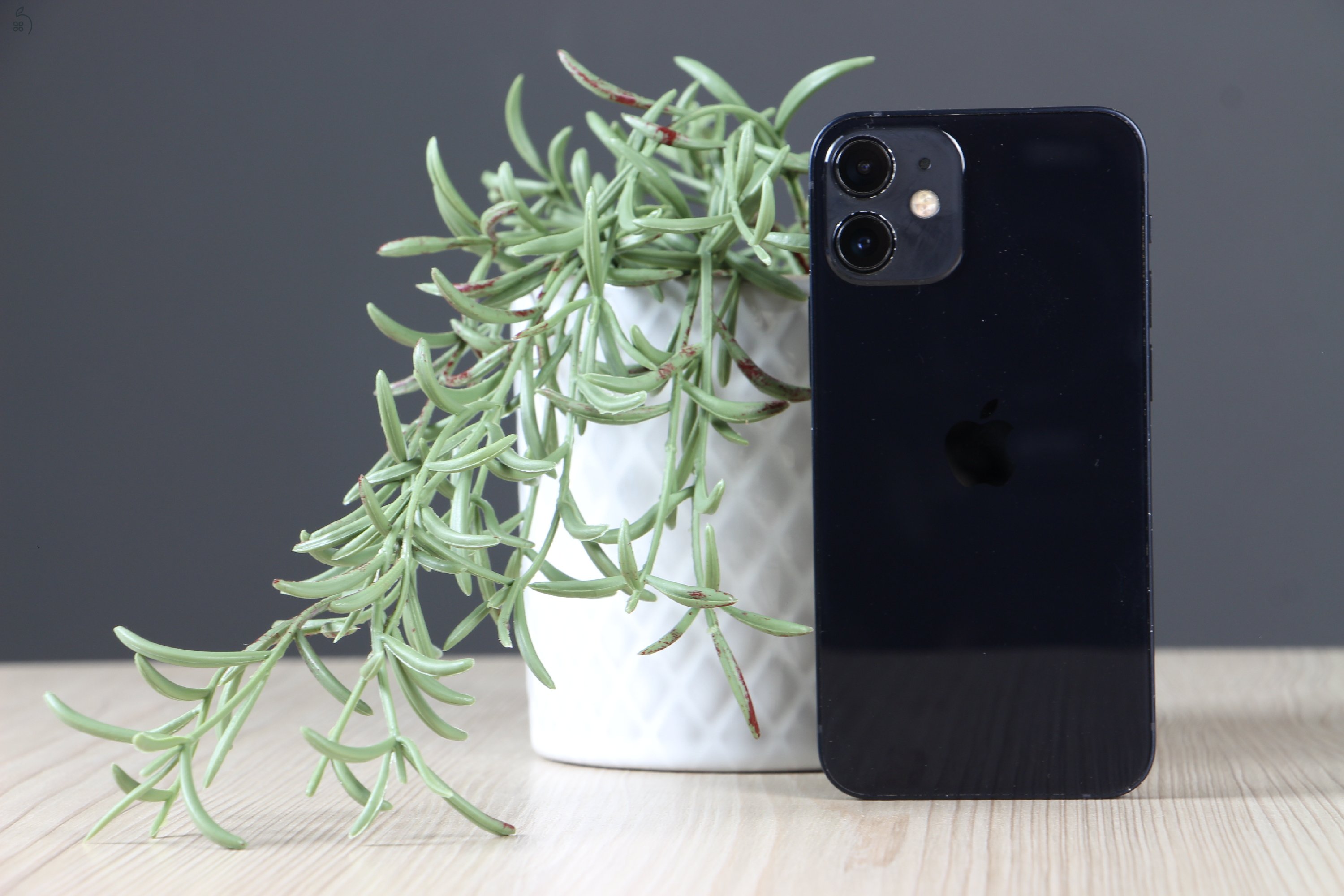 Apple iPhone 12 mini 64GB Midnight C+ US-7712