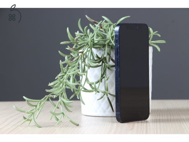 Apple iPhone 12 mini 64GB Midnight C+ US-7712