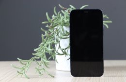 Apple iPhone 12 mini 64GB Midnight C+ US-7712