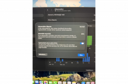 (2020) Apple MacBook Air 13.3 M1 (256 GB)