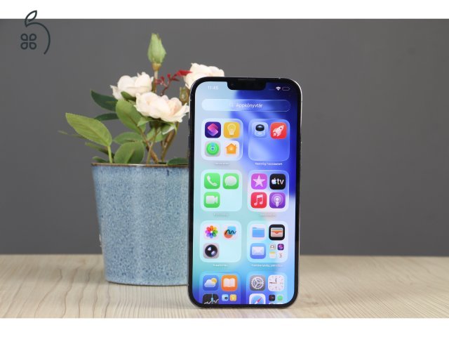 Apple iPhone 13 Pro Max 256GB Sierra Blue B US-7799