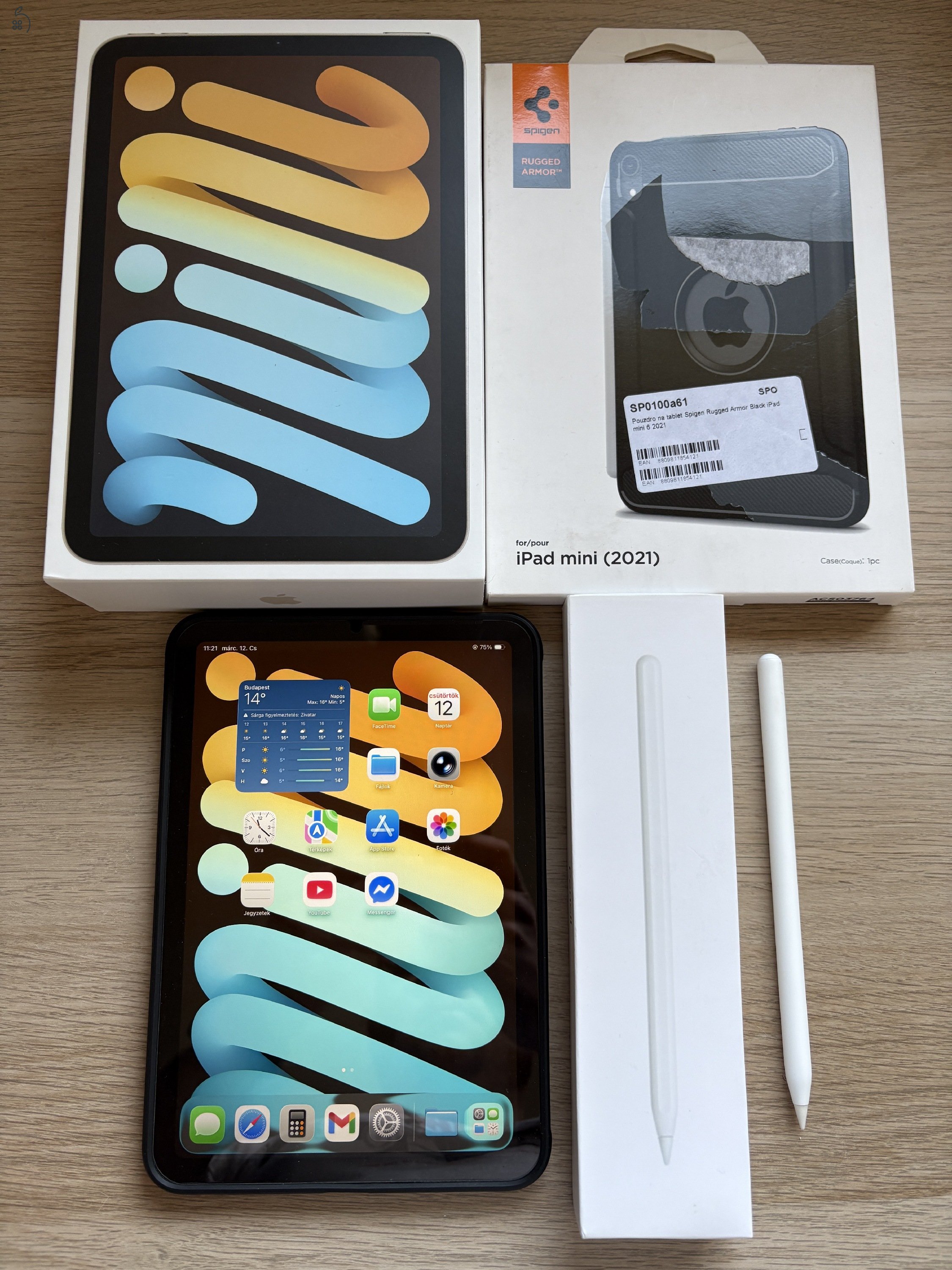 Apple iPad mini 6 wifi 64 Gb starlight