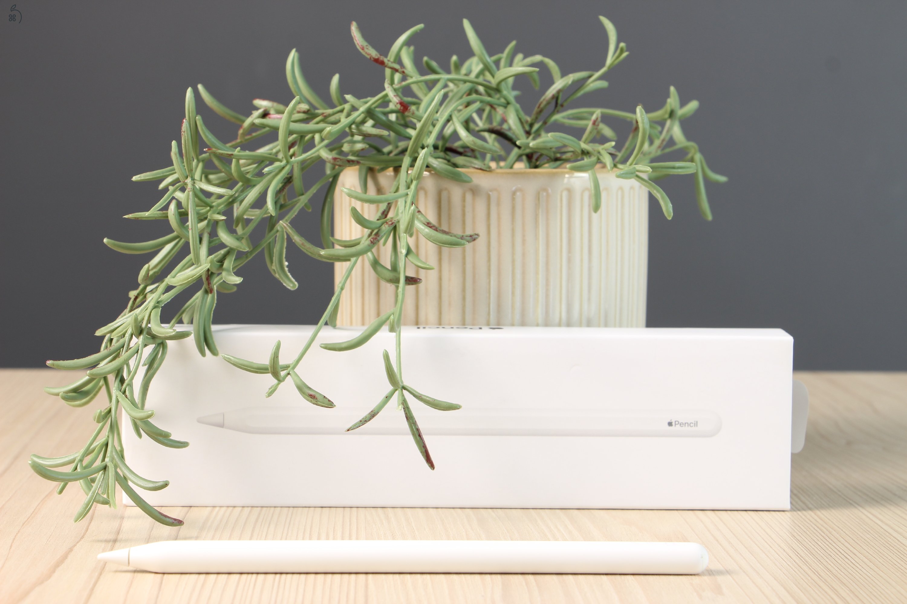 Apple Pencil 2 B US-7831