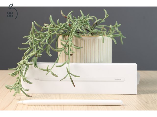 Apple Pencil 2 B US-7831