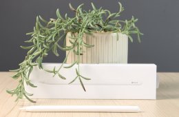 Apple Pencil 2 B US-7831