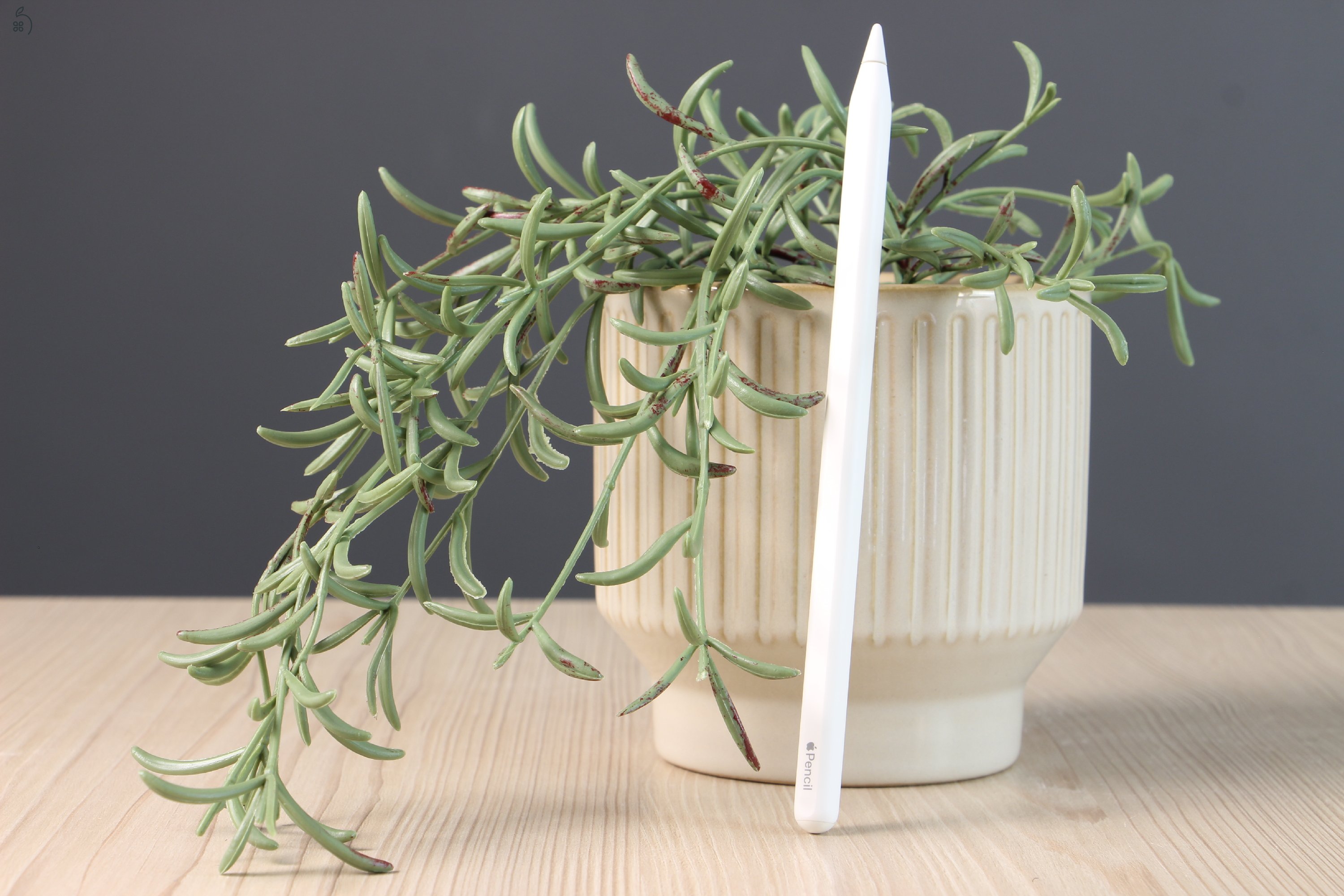 Apple Pencil 2 B US-7831