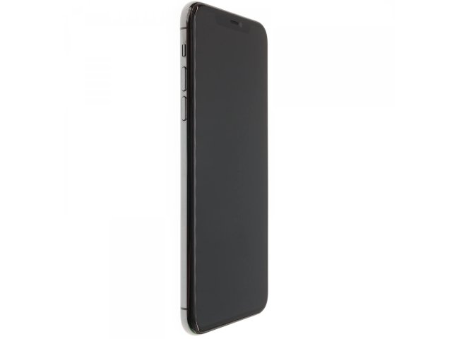 Apple iPhone 11 Pro Max 64 GB Space Gray 100%