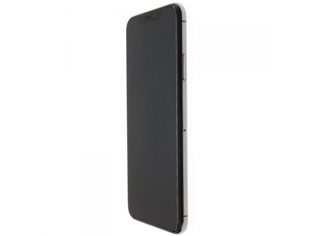 Apple iPhone 11 Pro Max 64 GB Space Gray 100%