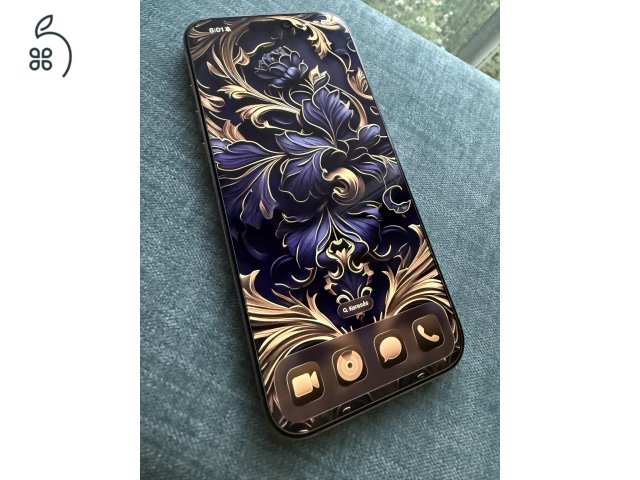 16 ProMax 256GB Titan