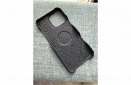 16 ProMax 256GB Titan