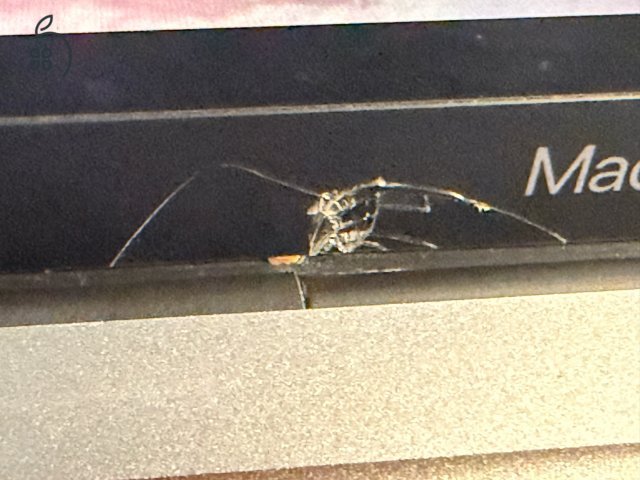 MacBook Pro 13” M1 (2020) – 16 GB RAM / 512 GB SSD – jó állapot