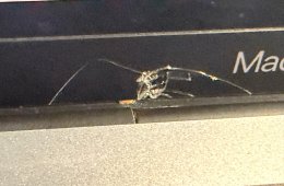 MacBook Pro 13” M1 (2020) – 16 GB RAM / 512 GB SSD – jó állapot