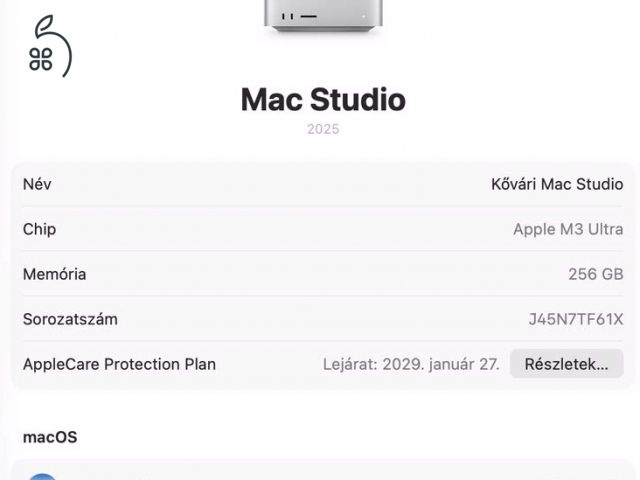 Apple M3 Ultra 256 GB RAM, 2TB SSD 80 magos GPU