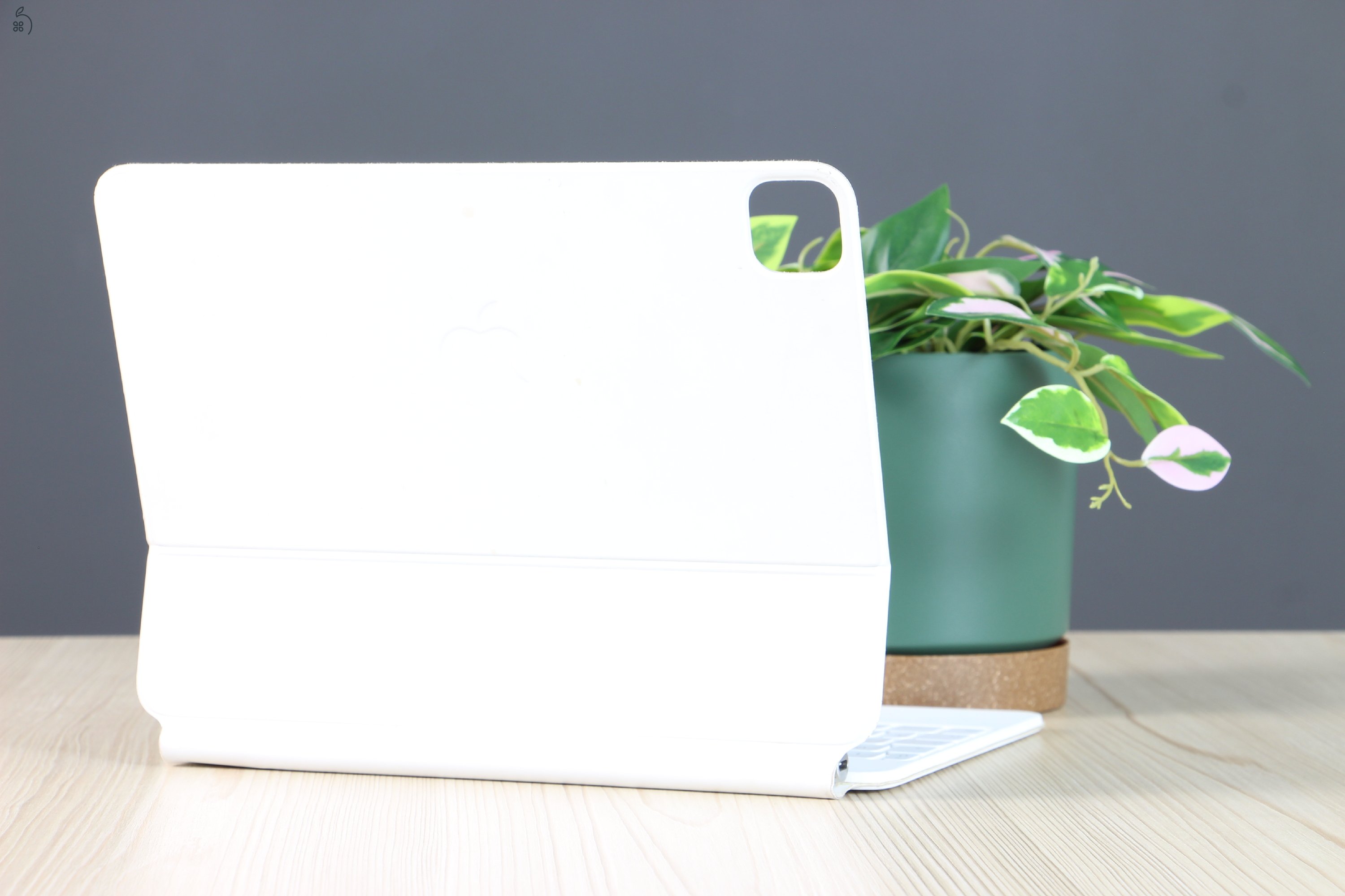 Apple Magic Keyboard 11