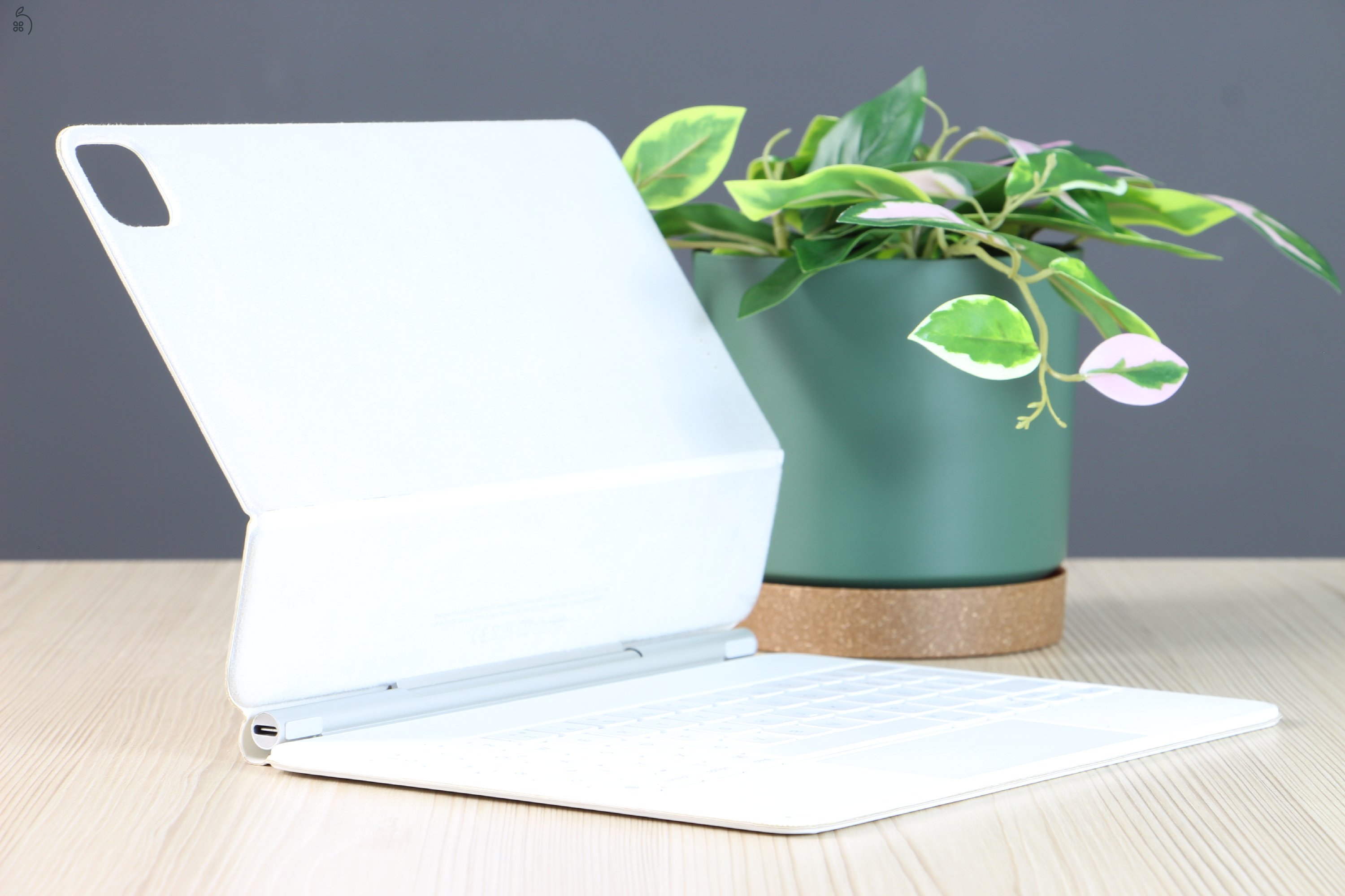 Apple Magic Keyboard 11