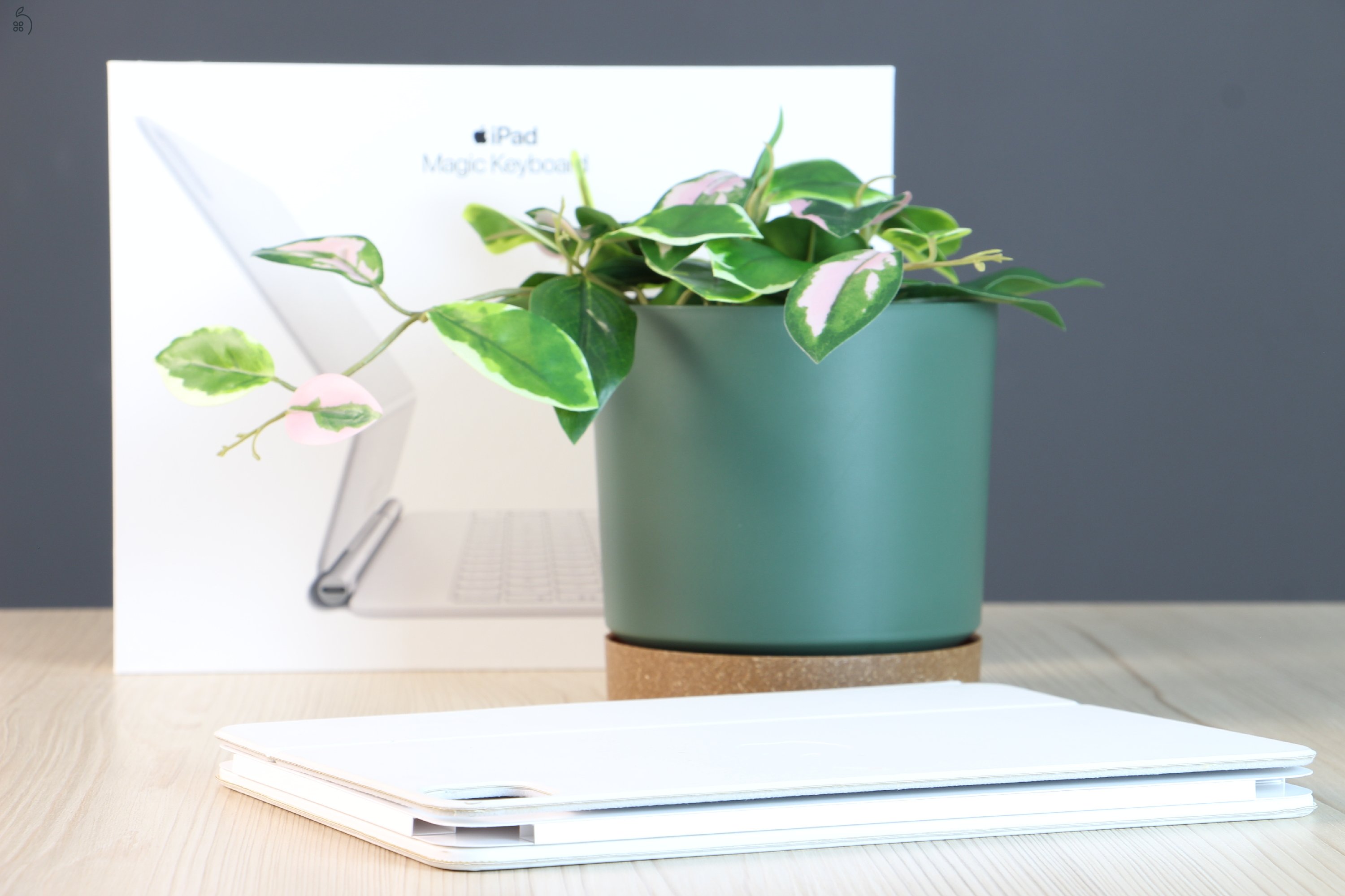 Apple Magic Keyboard 11