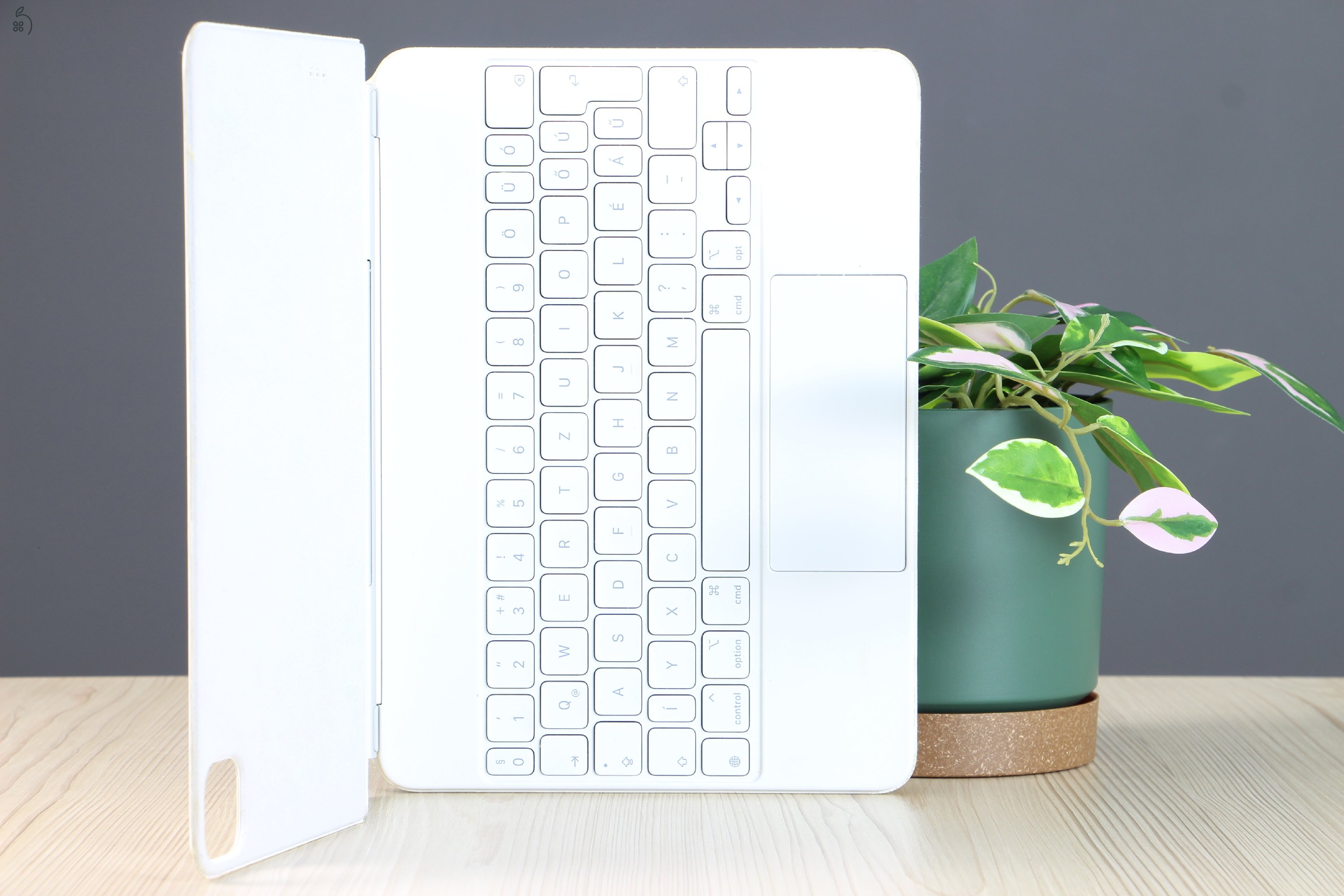 Apple Magic Keyboard 11