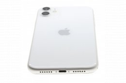 Apple iPhone 11 64 GB White 100%