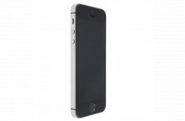 Apple iPhone SE (2016) 16 GB Space Gray 100%