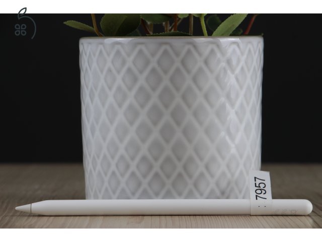 Apple Pencil 2 A US-7957