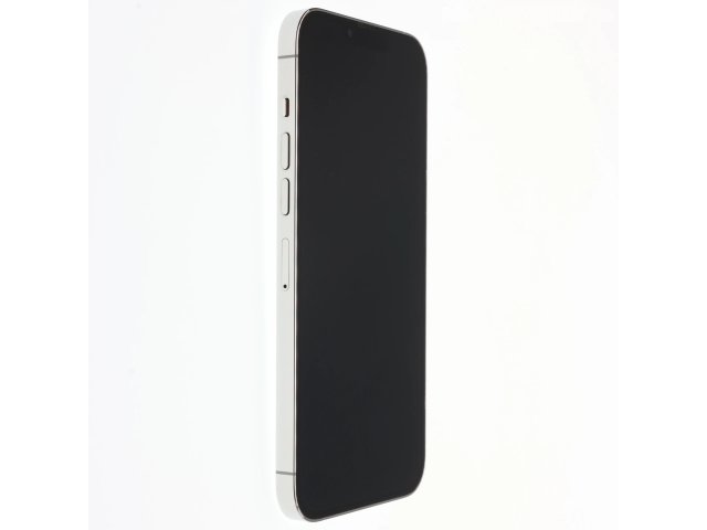 Apple iPhone 13 Pro Max 256 GB Silver 100%