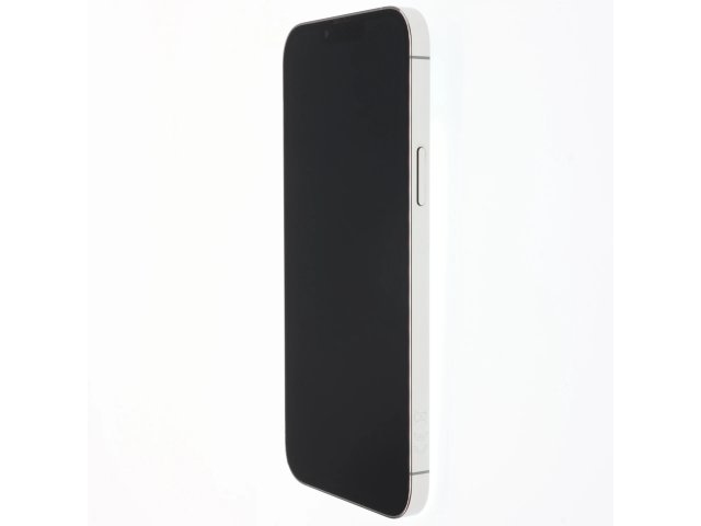 Apple iPhone 13 Pro Max 256 GB Silver 100%