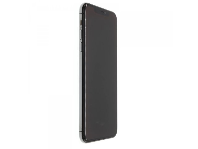 Apple iPhone 11 Pro Max 256 GB Space Gray 100%