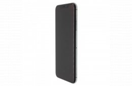 Apple iPhone 11 Pro Max 256 GB Space Gray 100%