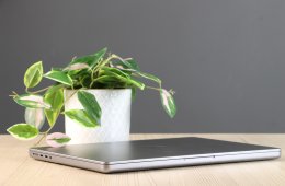 Apple Macbook Pro 14