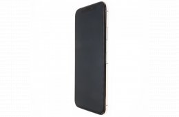 Apple iPhone X 64 GB Silver 100%