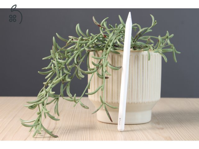 APPLE PENCIL 2 – EREDETI APPLE STYLUS, SZUPER ÁLLAPOTBAN US-7831