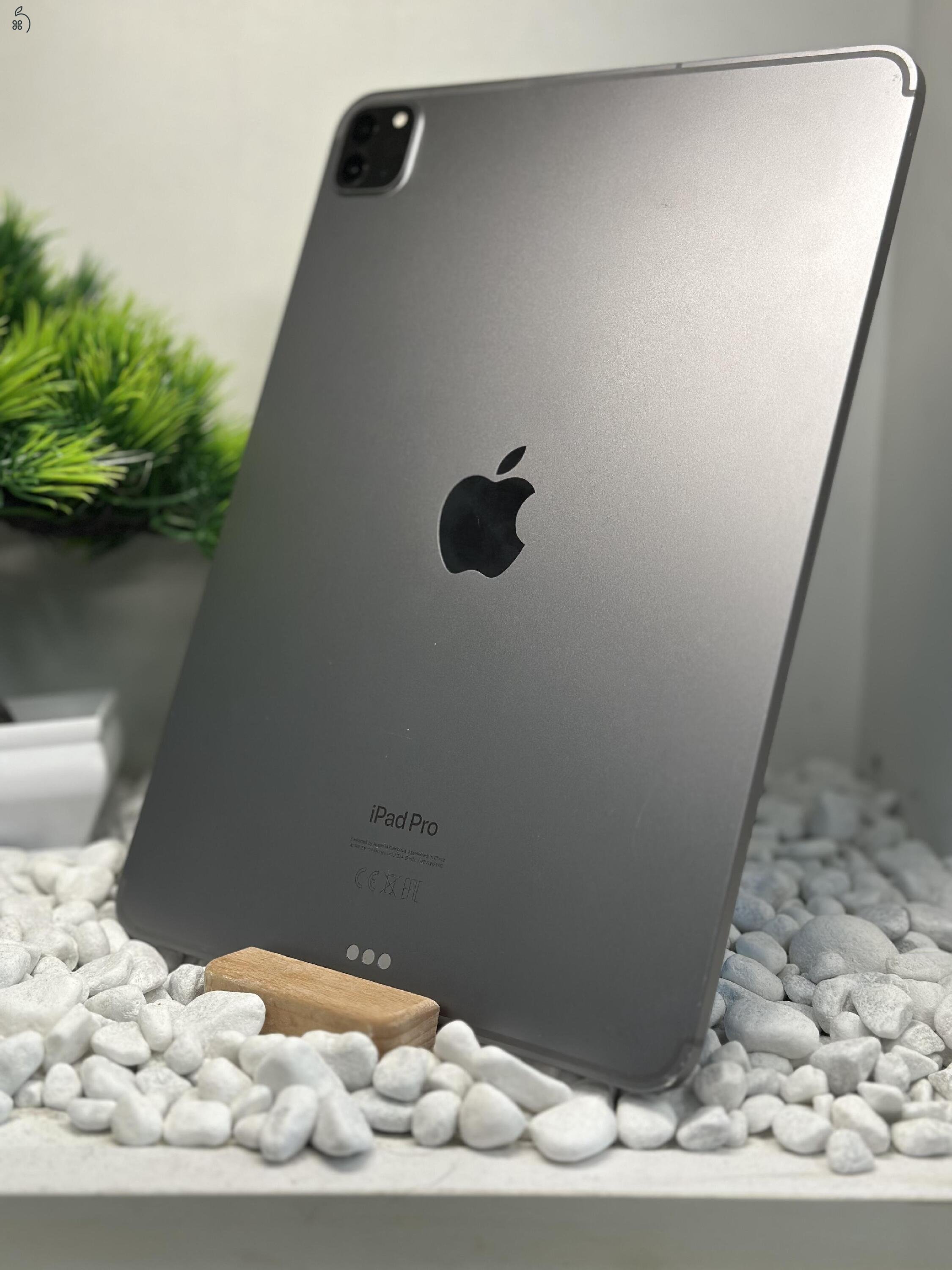 iPad Pro 11