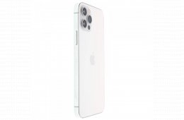 Apple iPhone 12 Pro 256 GB Silver 100%