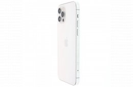 Apple iPhone 12 Pro 256 GB Silver 100%