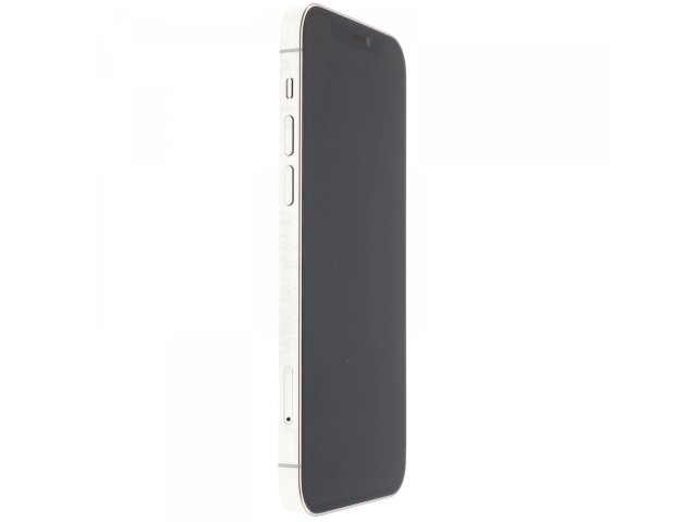 Apple iPhone 12 Pro 256 GB Silver 100%