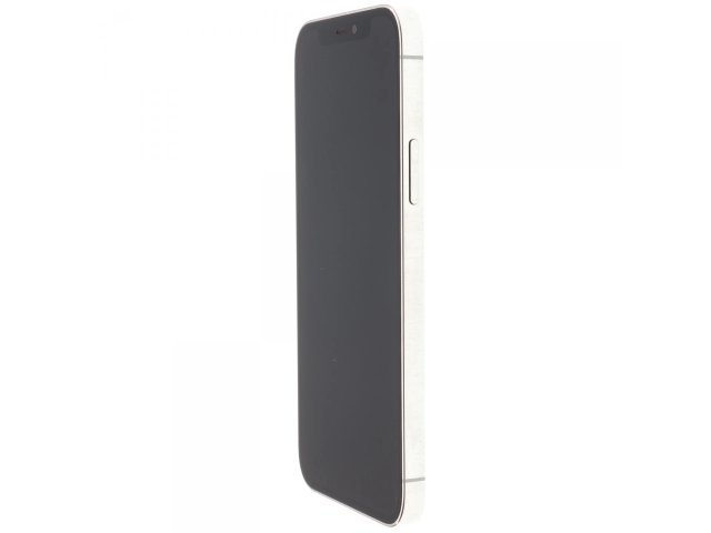 Apple iPhone 12 Pro 256 GB Silver 100%