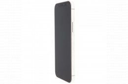 Apple iPhone 12 Pro 256 GB Silver 100%