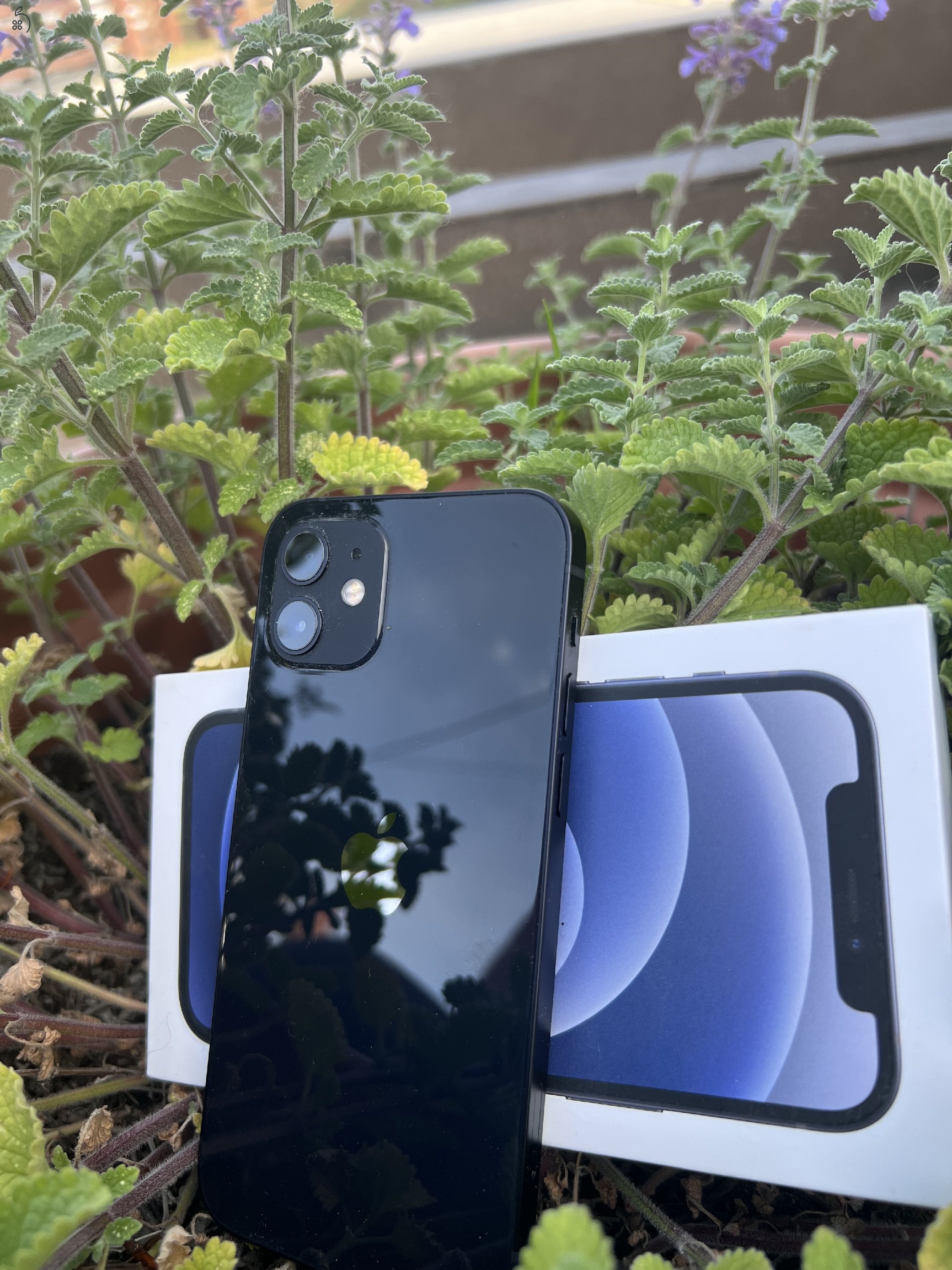  iPhone 12 64GB – több darab, céges készletből