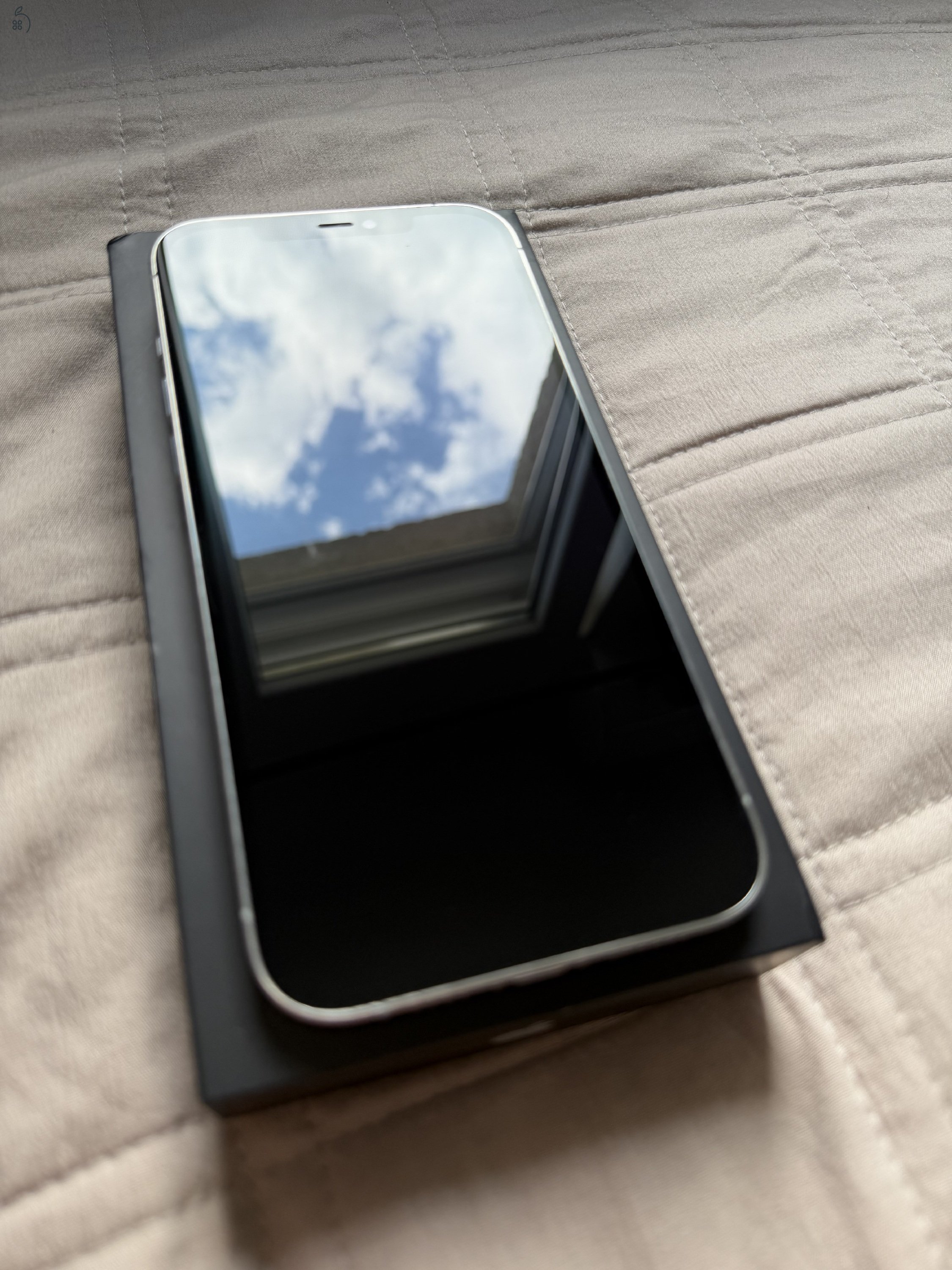 Iphone 12 pro max silver