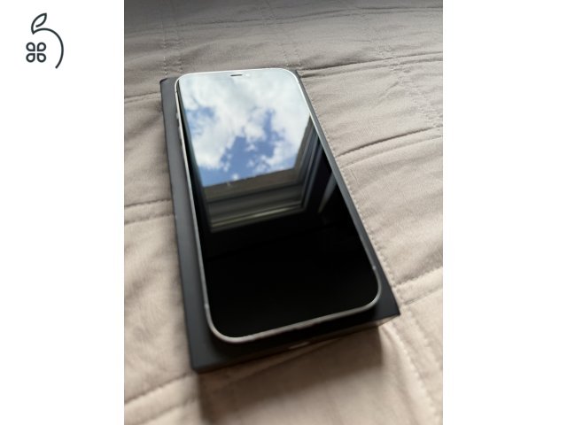 Iphone 12 pro max silver