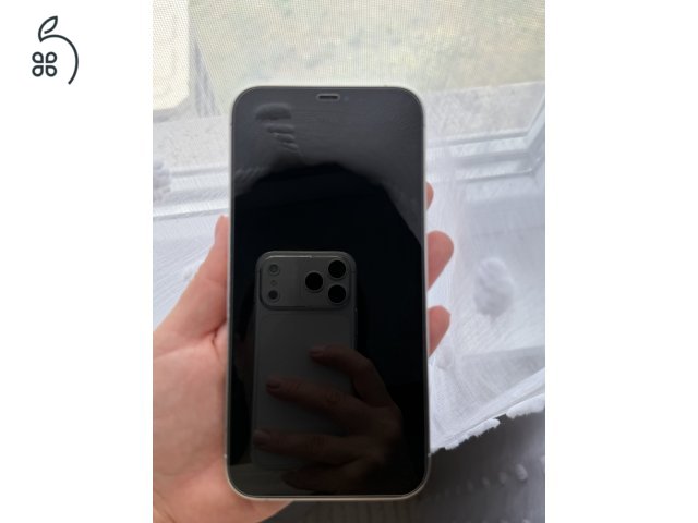 Iphone 12 pro max silver